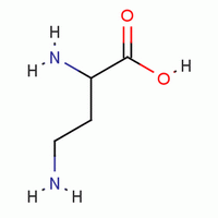 DL-2,4-二氨丁酸.二盐酸盐