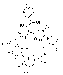 棘白菌素B