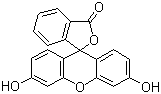 荧光素