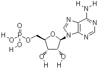 5'-一磷酸腺苷