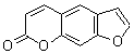 补骨脂
