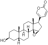 布福吉宁