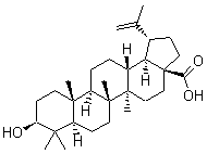 白桦脂酸