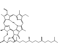 糊状叶绿素