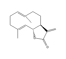 木香烯内酯