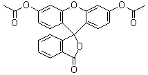 荧光素二乙酸盐