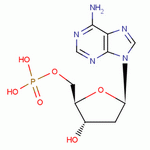 2'-脱氧腺苷-5'-单磷酸