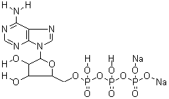 腺苷-5'-三磷酸二钠盐