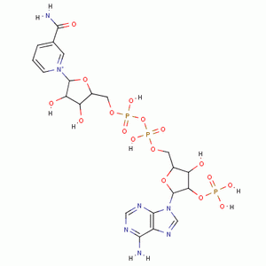 腺嘌呤二核苷酸磷酸钠