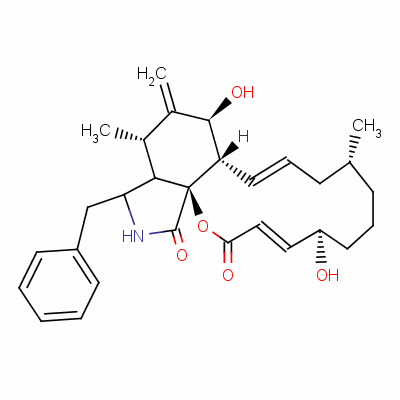 松胞菌素B