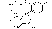 曙红Y