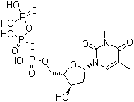 2'-脱氧胸苷 5'-三磷酸