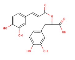迷迭香酸